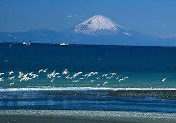 Tateyama Seaside Hotel 外观 照片