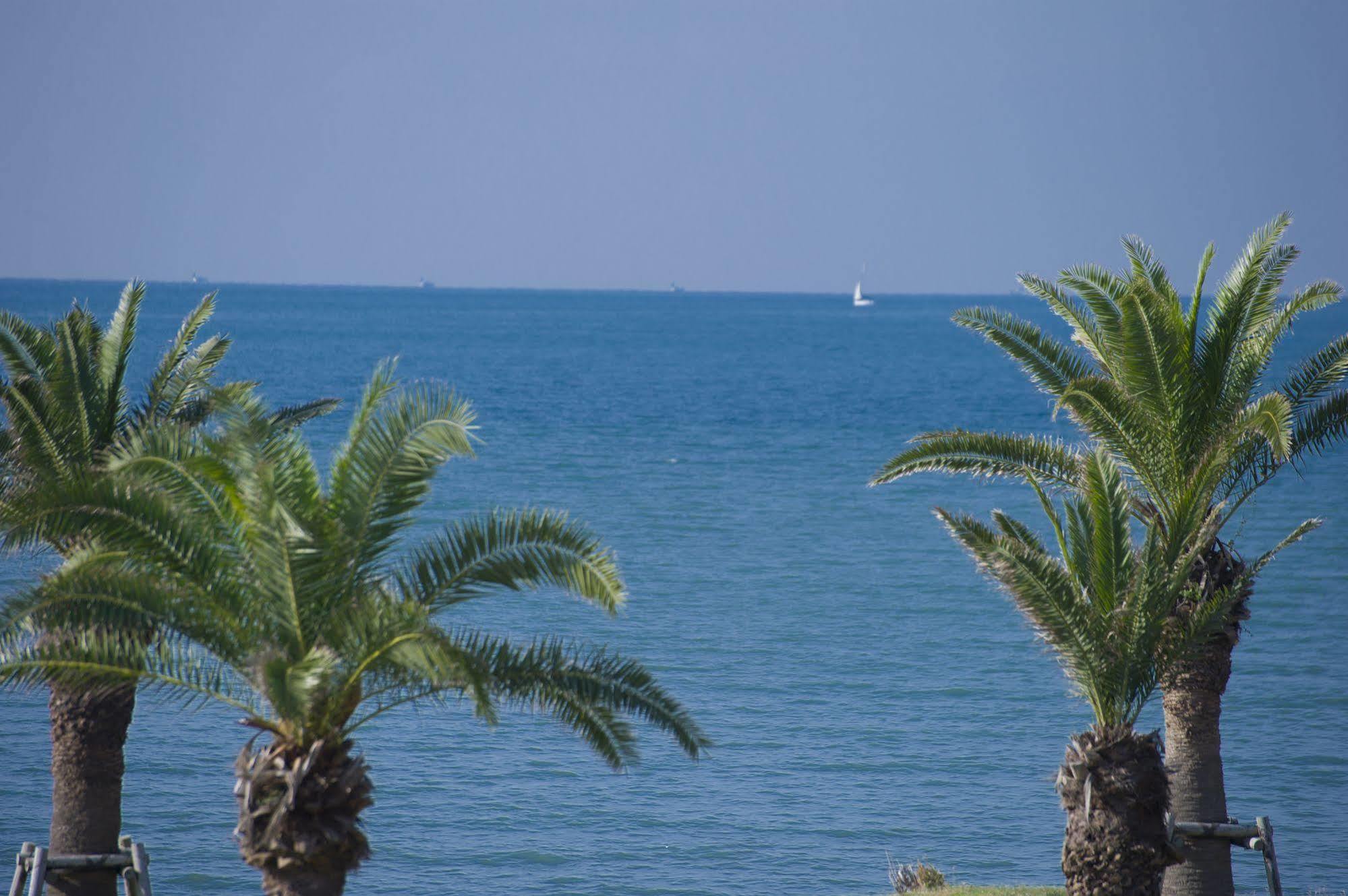Tateyama Seaside Hotel 外观 照片